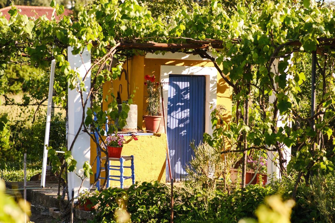 Villa Doreta Roda  Ngoại thất bức ảnh