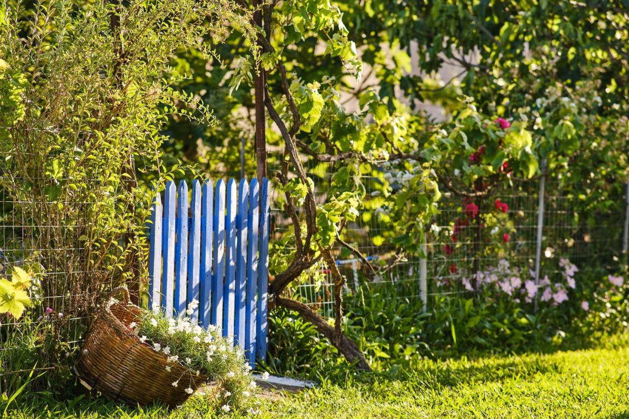 Villa Doreta Roda  Ngoại thất bức ảnh