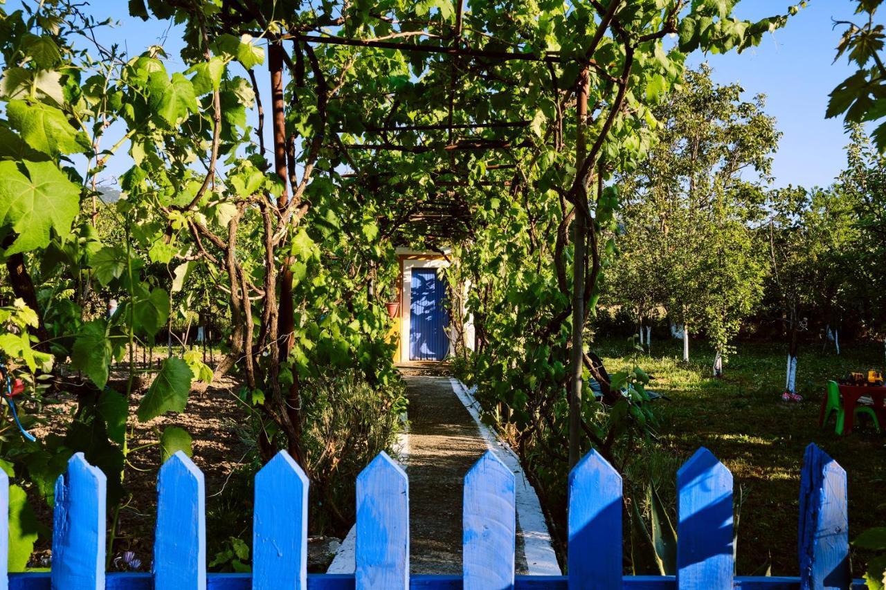 Villa Doreta Roda  Ngoại thất bức ảnh
